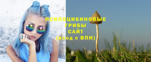 прущая мука Богданович