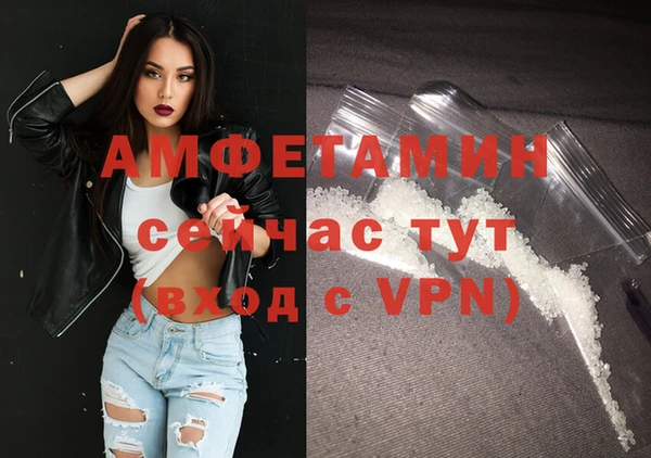 дмт Богородицк