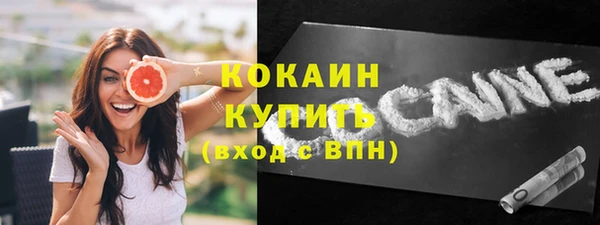 дмт Богородицк