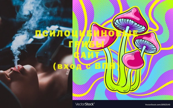 PSILOCYBIN Богородск
