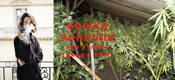 дмт Богородицк