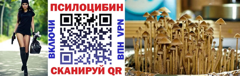 закладка Миасс Галлюциногенные грибы Cubensis