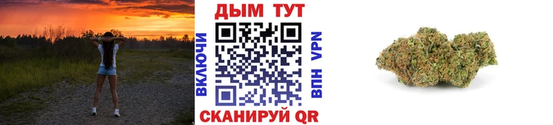 купить наркотики цена  Миасс  ссылка на мегу рабочий сайт  Канабис SATIVA & INDICA 